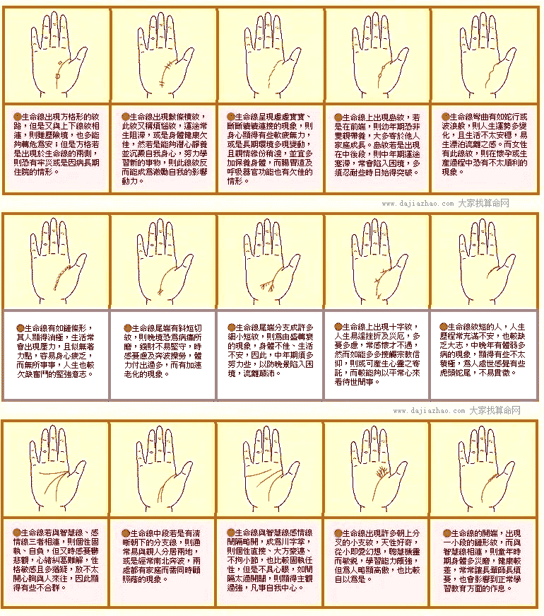 生命线图解2